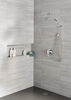 Flange - Shower