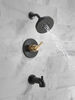 Tub/Shower Rough & Trim 1L 14S (Recertified)