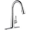 Single Handle Pull-Down Kitchen Faucet