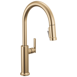 Image-Master-9186-DST