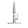 Pull-Down Kitchen 1 Handle with Soap Dispenser Bundle