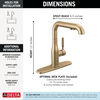 Pull-Out Kitchen Faucet (Recertified)