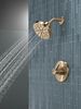 Shower Rough & Trim 14S (Recertified)