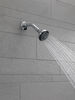 Shower Arm & Flange