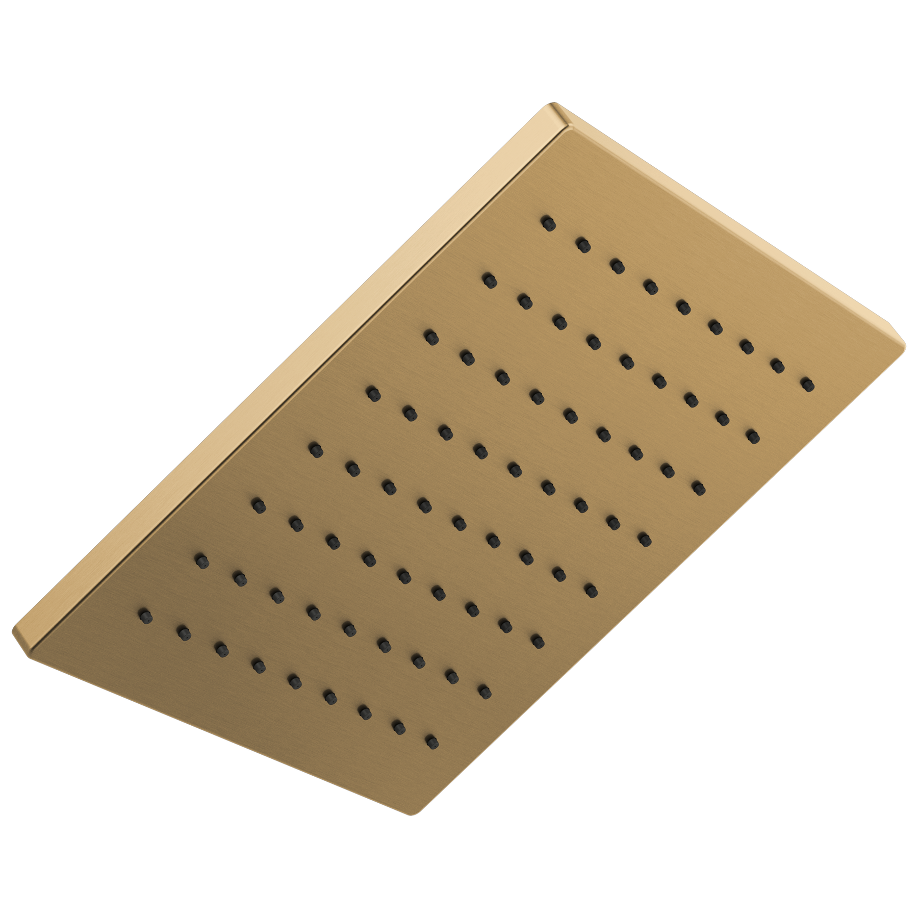 Single-Setting Metal Raincan Shower Head (Recertified)