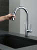 Single Handle Pull-Down Kitchen Faucet with Touch<sub>2</sub>O&reg; Technology