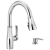 Single Handle Pull-Down Kitchen Faucet with Soap Dispenser and ShieldSpray ® Technology