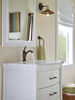 Single-Hole Bathroom Faucet 1L (Recertified)