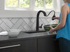 Single Handle Pull-Down Kitchen Faucet (Recertified)