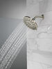 4 Setting Shower Head