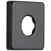 Shower Flange