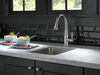 Pull-Down Prep Faucet 1B (Recertified)