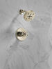 Shower Trim with Rough Bundle - 14 Series