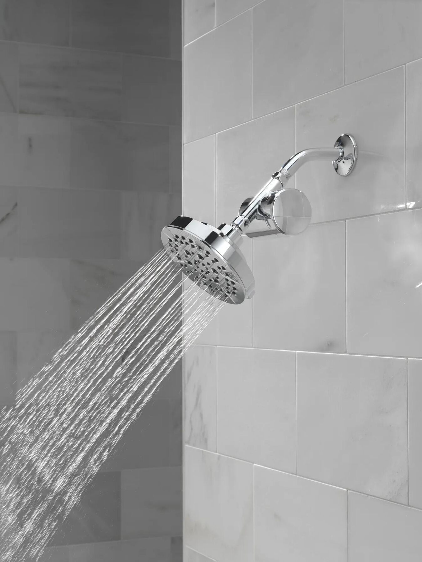 Standard Shower Filter with Shower Head Bundle