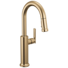 Single Handle Pull-Down Bar / Prep Faucet