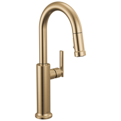 Image-Master-9986-DST