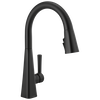 Pull-Down Kitchen Faucet 1L (Recertified)
