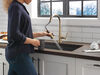 Pull-Down Kitchen w/ShieldSpray 1L (Recertified)