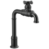 True Bar Kitchen Faucet