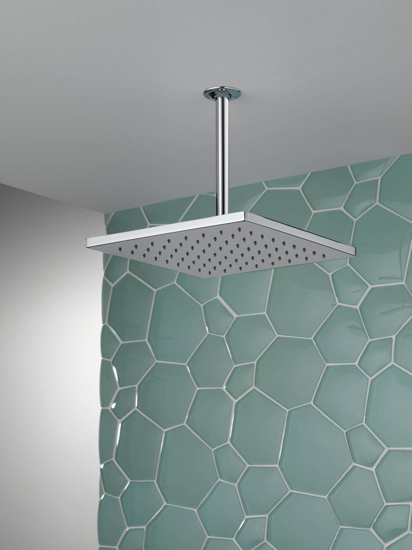 Single-Setting Metal Raincan Shower Head, image 4