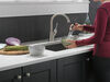 Single Handle Pull-Down Kitchen Faucet (Recertified)