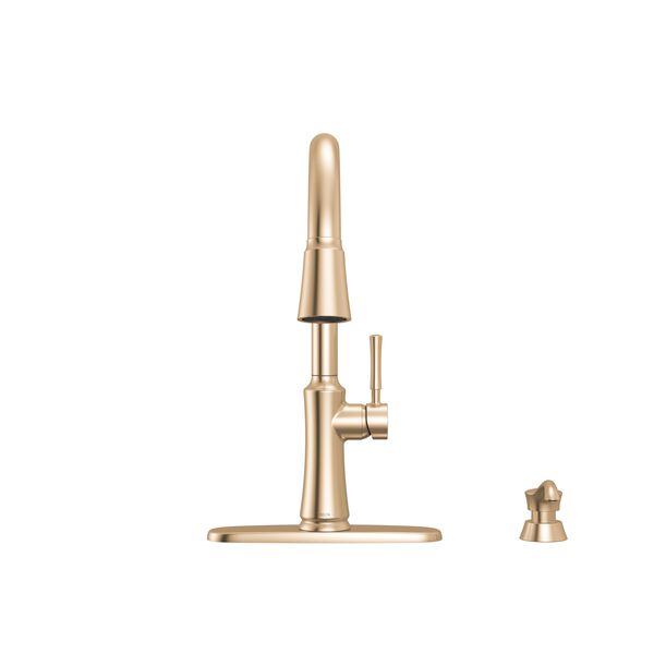 Single Handle Kitchen Pull-Down Faucet w/ Soap Dispenser