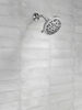 Fixed 5-Setting Showerhead
