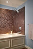 Shower Arm