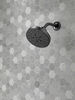 H<sub>2</sub>Okinetic® 5-Setting Contemporary Raincan Shower Head
