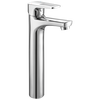 Single Handle Bathroom with Riser