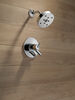 Monitor® 17 Series H<sub>2</sub>Okinetic® Shower Trim
