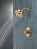 Shower Rough & Trim 1L 14S (Recertified)