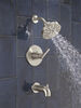 Monitor® 14 Series Tub and Shower