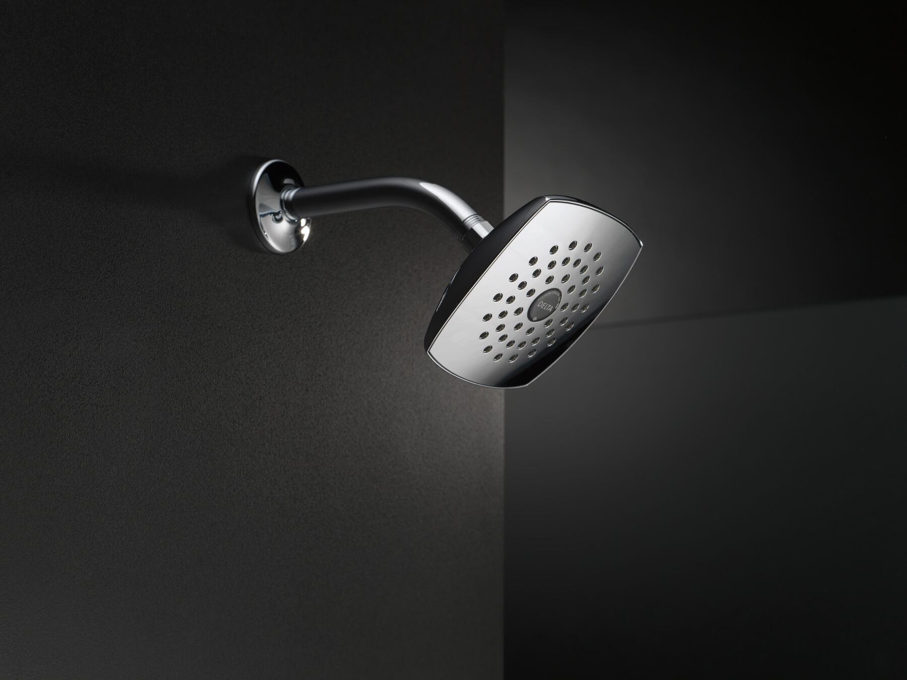 Single-Setting Raincan Shower Head, image 3