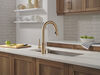 Single Handle Pull-Down Kitchen Faucet