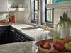 Single Handle Pull-Down Kitchen Faucet with Touch<sub>2</sub>O® Technology