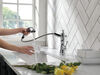 Single Handle Pull-Out Kitchen Faucet