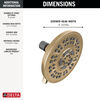 8-Setting Shower Head