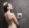 In Wall Shower Trim without Push Button Diverter