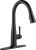 Single Handle Pull-down Kitchen Faucet (Recertified)