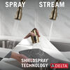 Single Handle Pull-Down Kitchen Faucet with ShieldSpray® Technology