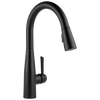 Single Handle Pull-down Kitchen Faucet (Recertified)