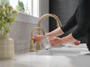 Pull-Down Kitchen w/ShieldSpray 1L (Recertified)