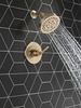 14 Series Shower Only Trim (Recertified)