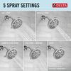 Fixed 5-Setting Showerhead