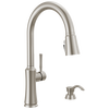 Single Handle Pull-Down Kitchen Faucet with Soap Dispenser and ShieldSpray Technology