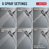 Standard Shower Filter with 6-Setting Showerhead and Mount Bundle