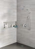 Flange - Shower