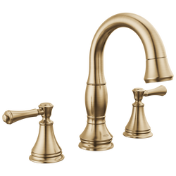 Image-3597-CZPD-DST-R