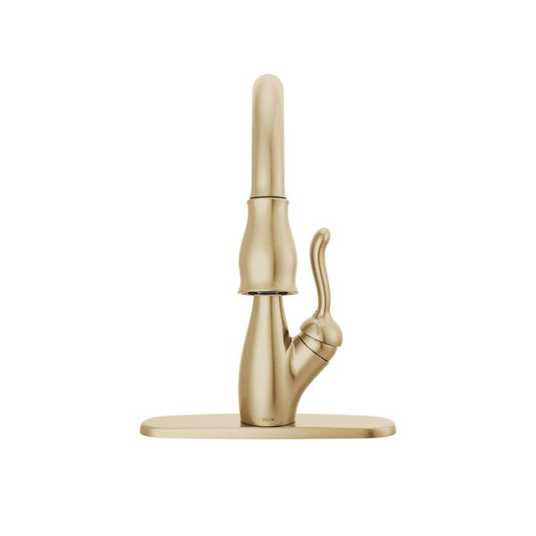 Single Handle Pull-Down Kitchen Faucet with ShieldSpray® Technology